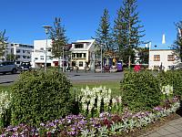 IMG 8130