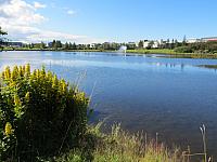 IMG 8145