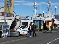 IMG 8175