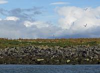 IMG 8216