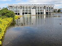 IMG 8265