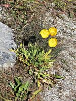IMG 9853