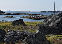 IMG 9871