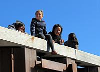 IMG 9923