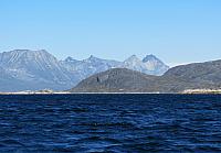 IMG 9924