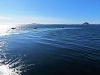 IMG 9947