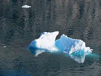 IMG 9507