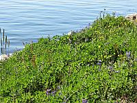 IMG 9751