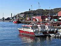 IMG 9773