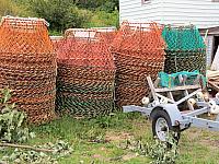 IMG 0053