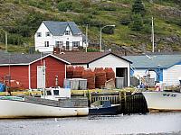 IMG 0059