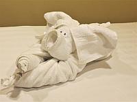 IMG 0111