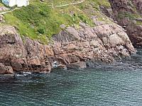 IMG 9979