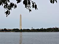 IMG 0272