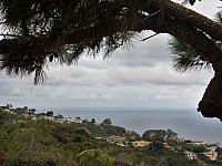 IMG 0379