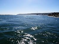 IMG 0454