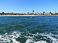 IMG 0455