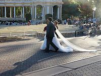 IMG 0505