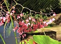 IMG 0574