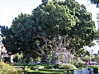 IMG 0582