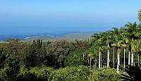 IMG 0982