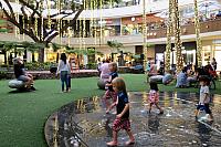 IMG 1405