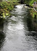 IMG 1685