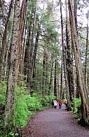 IMG 1772
