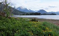 IMG 1780
