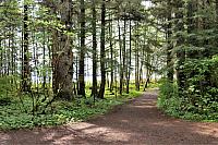 IMG 1789