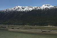 IMG 1918
