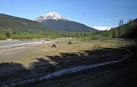 IMG 1925