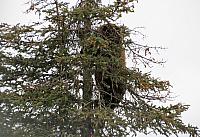 IMG 2144