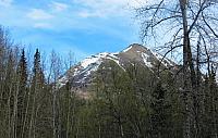 IMG 2205