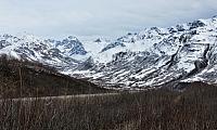 IMG 2245