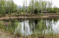 IMG 2287