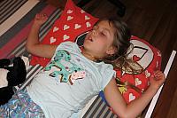 IMG 2559