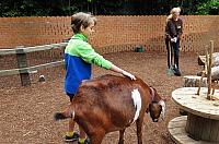 IMG 2459