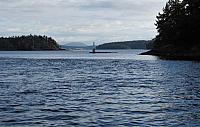 IMG 2650