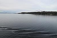 IMG 2842