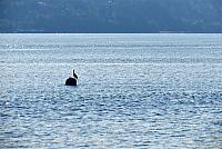 IMG 3073