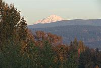 IMG 3095
