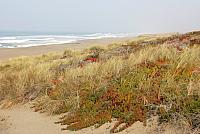 IMG 3219
