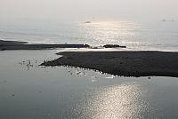 IMG 3335
