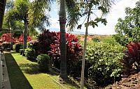 IMG 3531