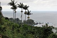 IMG 3581