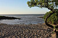IMG 3591