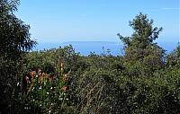IMG 3724