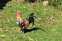 IMG 3740