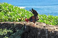 IMG 3766
